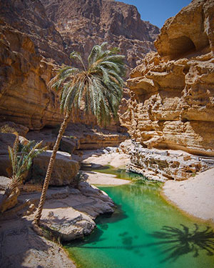 Oman Cruises